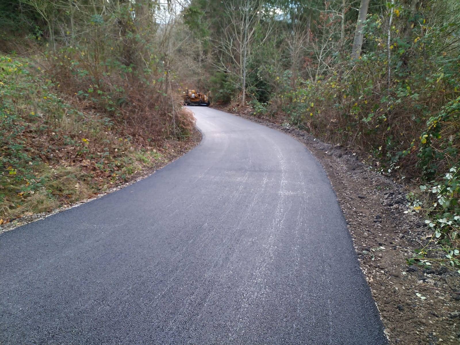 New asphalt path curving uphill through the woods